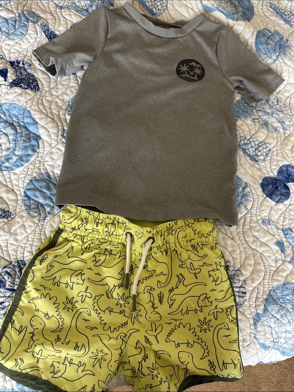 Cat & Jack Gray Rash Guard Top and Lime Green Dinosaur Swim Shorts
